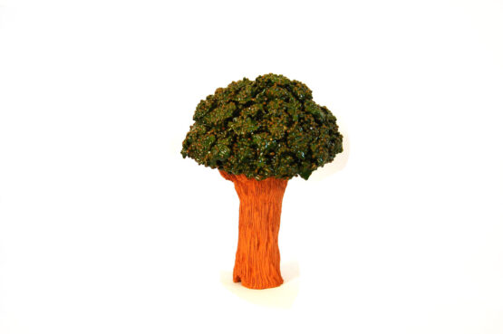 Albero Paco