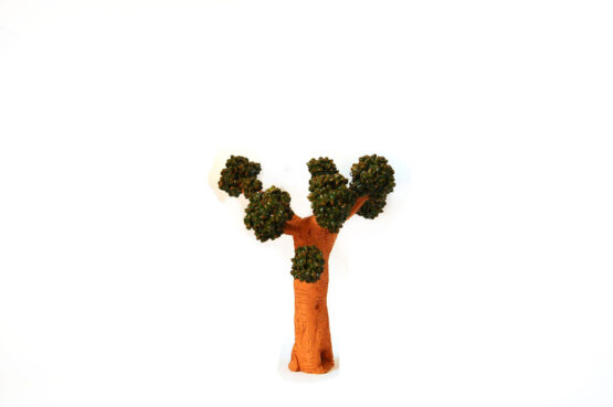 Albero Paco