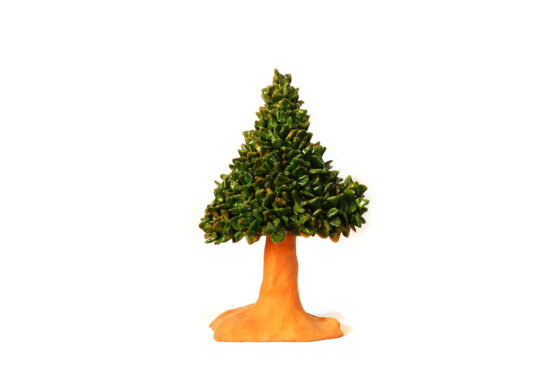 Albero Paco